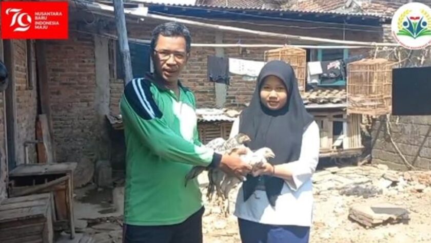 serah terima calon indukan ayam kepada anak yatim